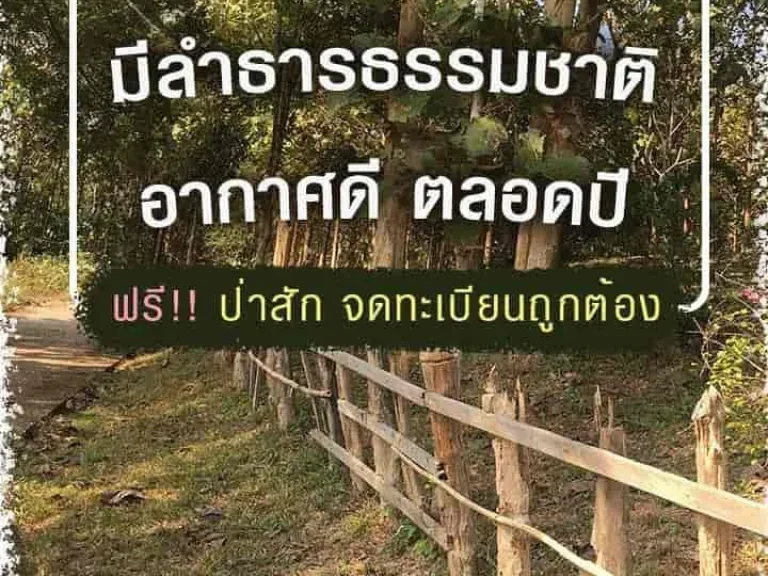 ประกาศขาย พร้อมเปลี่ยนมือค่า รีสอร์ทร่มรื่น จลำปาง