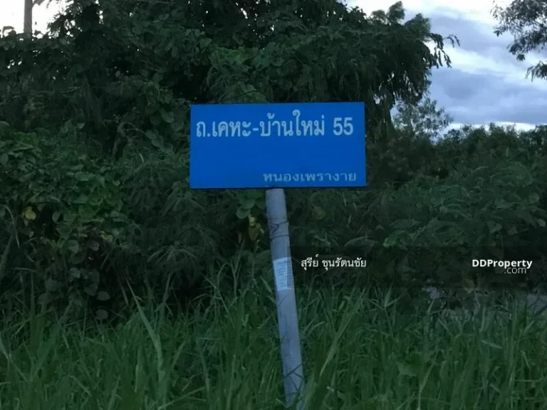 ขาย ที่ดิน 1 ไร่ ซอย หมู่บ้านเคหะการเกษตร 55 ตำบลหนองเพรางาย เขตบางบัวทอง นนทบุรี