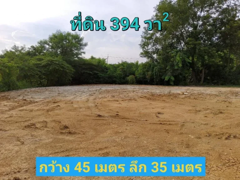 ขายที่ดินหนองเพรางาย 394 ติดถนนคอนกรีต เคหะ-บ้านใหม่ซอย3 อไทรน้อย จนนทบุรี