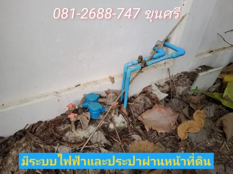 ขายที่ดินหนองเพรางาย 394 ติดถนนคอนกรีต เคหะ-บ้านใหม่ซอย3 อไทรน้อย จนนทบุรี