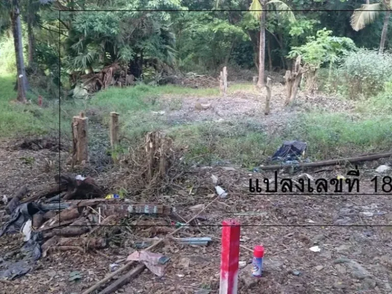 ขายด่วนที่ดินเนื้อที่ 340 ตรว ท่าอิฐ ปากเกร็ด นนทบุรี BLAL01014