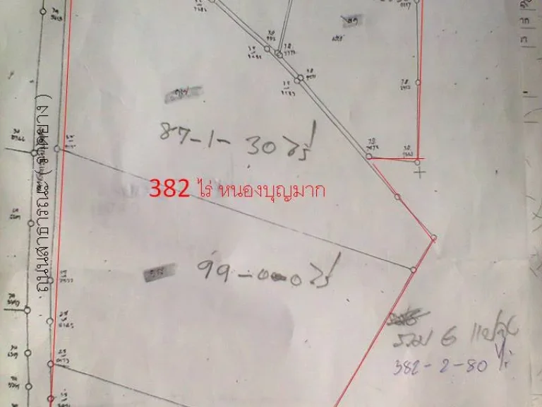 ขายที่ดิน 382 ไร่ ตแหลมทอง อหนองบุญมาก จนครราชสีมา ห่างจากถนน 4 เลนส์ หมายเลข 24 ประมาณ 500 เมตร