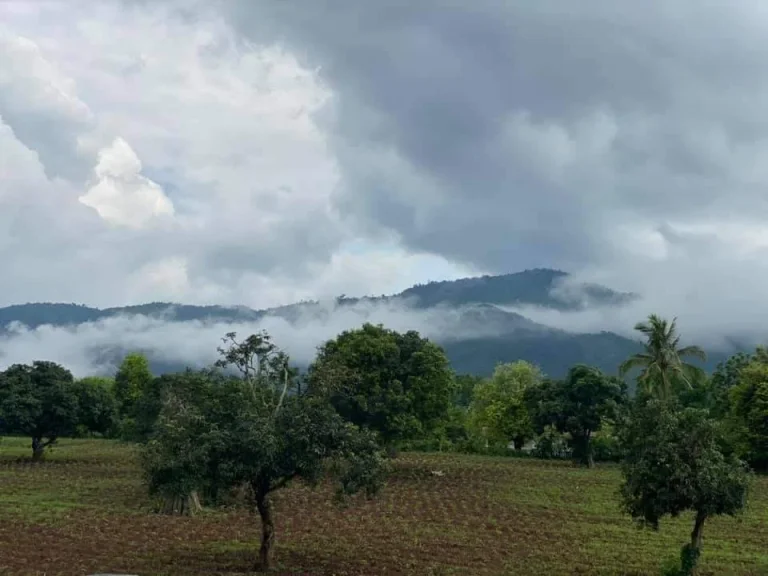 ขายที่ดินวิวอุทยานแห่งชาติเขาใหญ่ 1 ไร่ อหมูสี ปากช่อง เหมาะทำบ้านพัก รีสอร์ท ขายถูก แบ่งขายได้ ใกล้ถนน วังน้ำเขียว-เขาใหญ่ เพียง 1กม