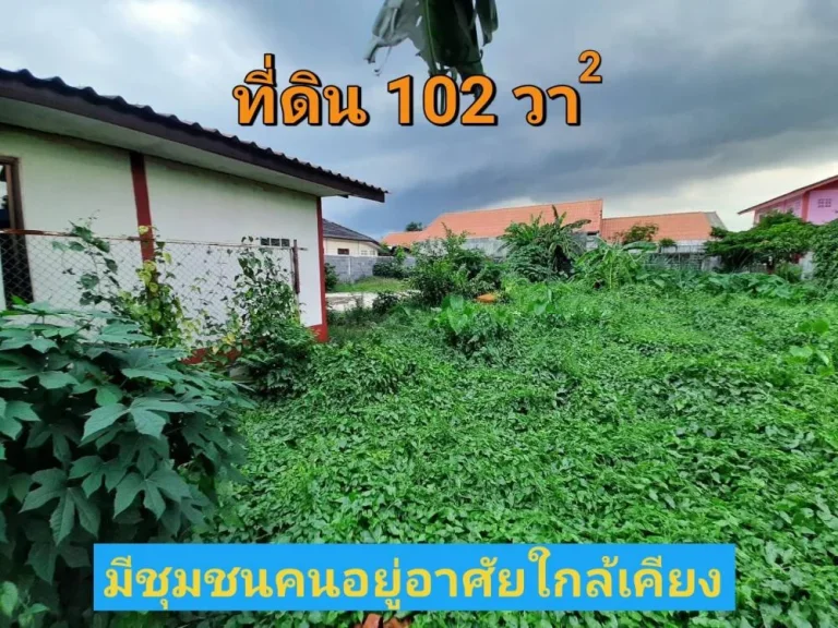 ขายที่ดินคลองสาม 102 ตารางวา ติดถนนคอนกรีตสาธารณะ เหมาะสร้างบ้าน อคลองหลวง จปทุมธานี