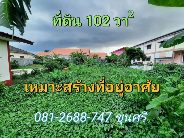 ขายที่ดินคลองสาม 102 ตารางวา ติดถนนคอนกรีตสาธารณะ เหมาะสร้างบ้าน อคลองหลวง จปทุมธานี