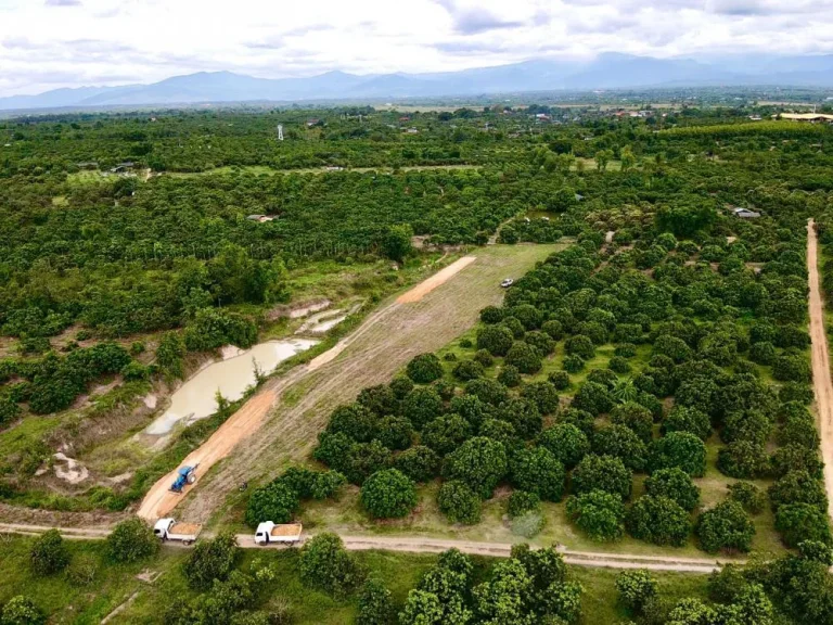 ที่ดินลำพูนแบ่งขาย บรรยากาศดี วิวสวย ที่สูง น้ำไม่ท่วม ดินดีไม่ต้องถม