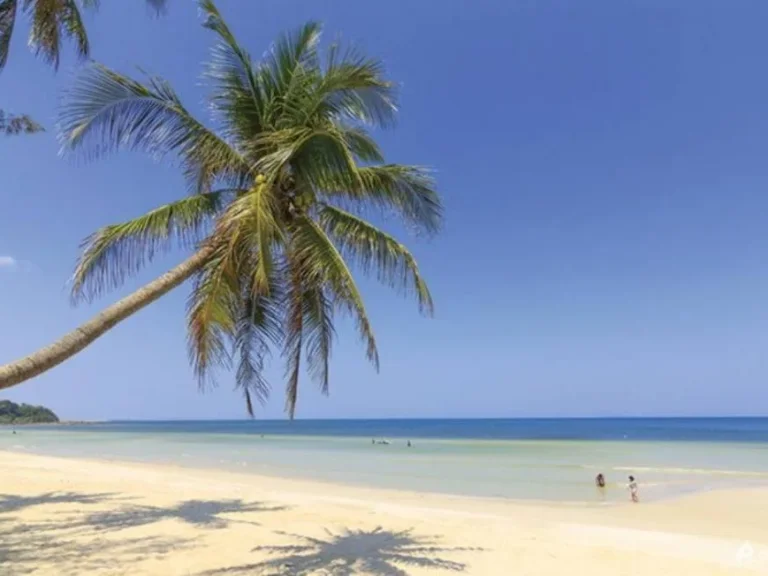 ขายที่ดินพร้อมบ้านสวนใกล้ทะเล หาดทุ่งวัวแล่น อปะทิว ชุมพร เนื้อที่ 202 ตรว เหมาะสำหรับบ้านพักหลังเกษียรเจ้าของขายถูกมาก