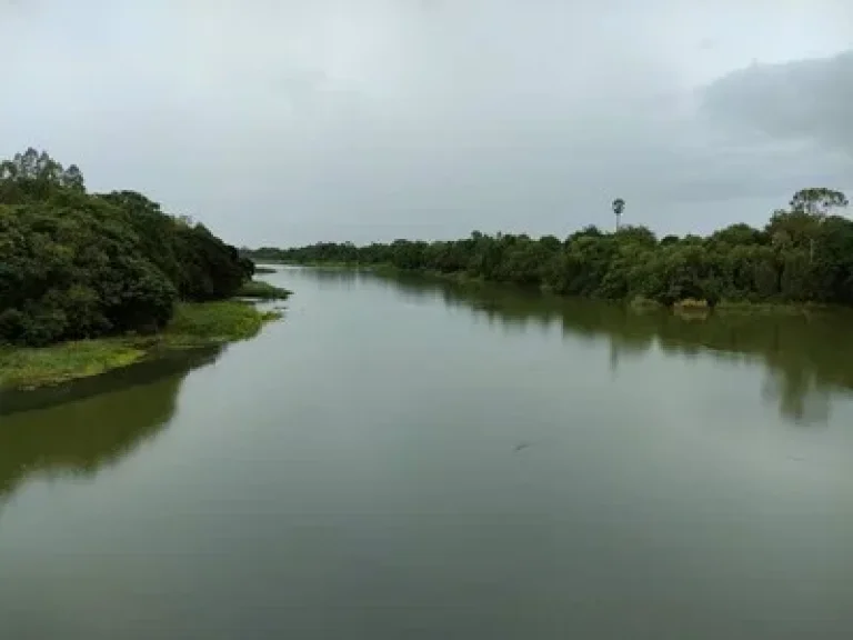 ขายที่ดินติดแม่น้ำ แม่กลอง กาญจนบุรี 5 ไร่ บรรยากาศวิวดีมาก เหมาะสร้างบ้าน ทำการเกษตร ซื้อเก็บไว้