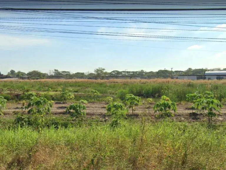 ขายที่ดินเปล่าติดถนนสุวินทวงศ์ เพียงวาละ 20000 บาทเท่านั้น 