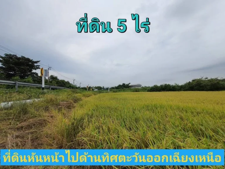 ขายที่ดินตำบลขุนศรี 5 ไร่ วิวทุ่งนา ติดถนนคอนกรีตนบ3017 อไทรน้อย จนนทบุรี