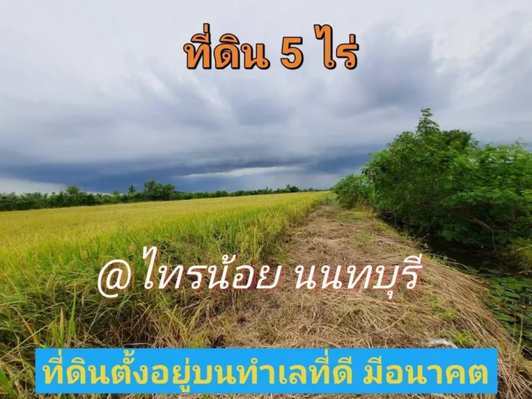 ขายที่ดินตำบลขุนศรี 5 ไร่ วิวทุ่งนา ติดถนนคอนกรีตนบ3017 อไทรน้อย จนนทบุรี