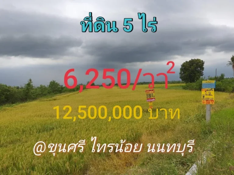 ขายที่ดินตำบลขุนศรี 5 ไร่ วิวทุ่งนา ติดถนนคอนกรีตนบ3017 อไทรน้อย จนนทบุรี