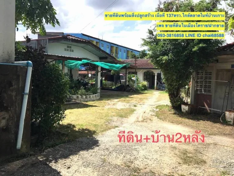 ขายที่ดิน 137ตรวบ้านเกาะ ใกล้ห้างเซ็นทรัลนครราชสีมา