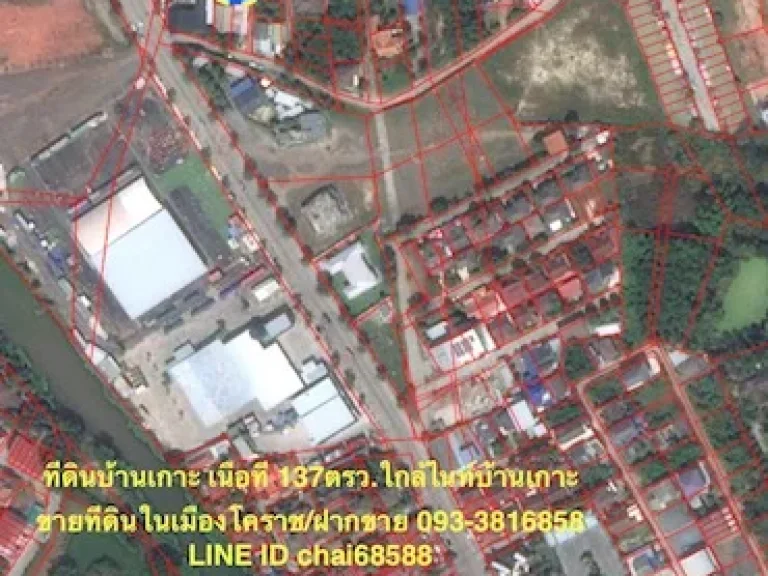 ขายที่ดิน 137ตรวบ้านเกาะ ใกล้ห้างเซ็นทรัลนครราชสีมา