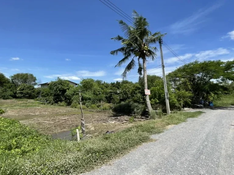 ขายที่ดิน บ้านลานตากฟ้า หมู่ 3 ทางหลวงชนบทนครปฐม อนครชัยศรี จนครปฐม