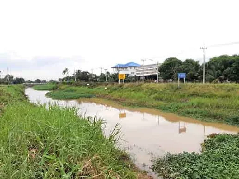 ขายที่ดินพร้อมบ้าน 2 หลังราคาถูก วังหว้า ศรีประจันต์