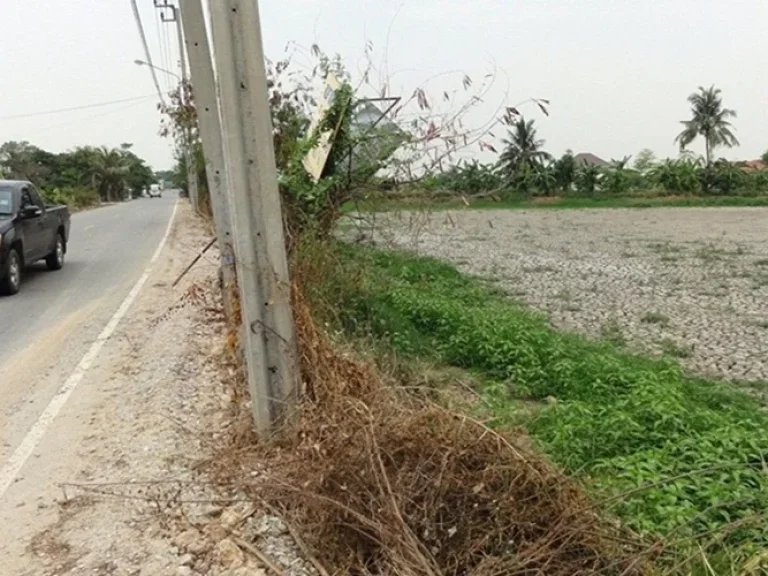 ขายที่ดิน ติดถนนเลียบคลองพระองค์เจ้าไชยยานุชิต 5 ไร่ อำเภอบางบ่อ สมุทรปราการ