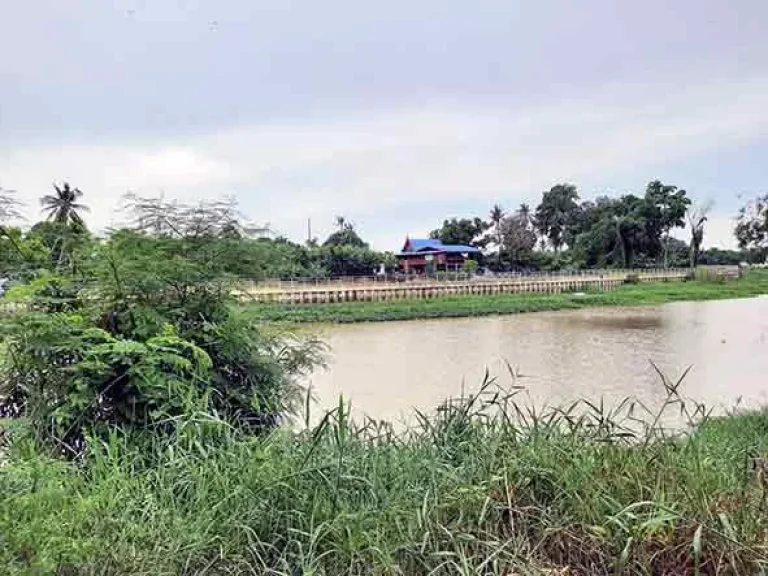 ขายที่ดินติดถนนซอย ด้านหลังติดแม่น้ำท่าจีน บ้านกร่าง ศรีประจันต์