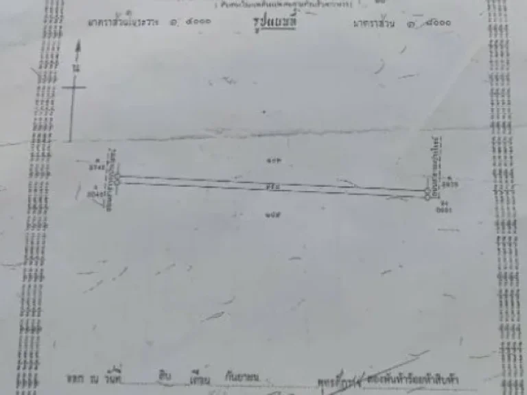 ขายด่วนที่ดินเนื้อที่ 34 ไร่ บึงคอไห ลำลูกกา ปทุมธานี BLYL0865