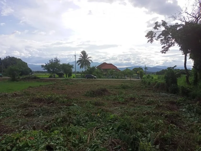 ที่ดินเปล่าติดริมทุ่ง ถนนเรียบคลองชลประทาน ค้าขายได้ ทำบ้านดี