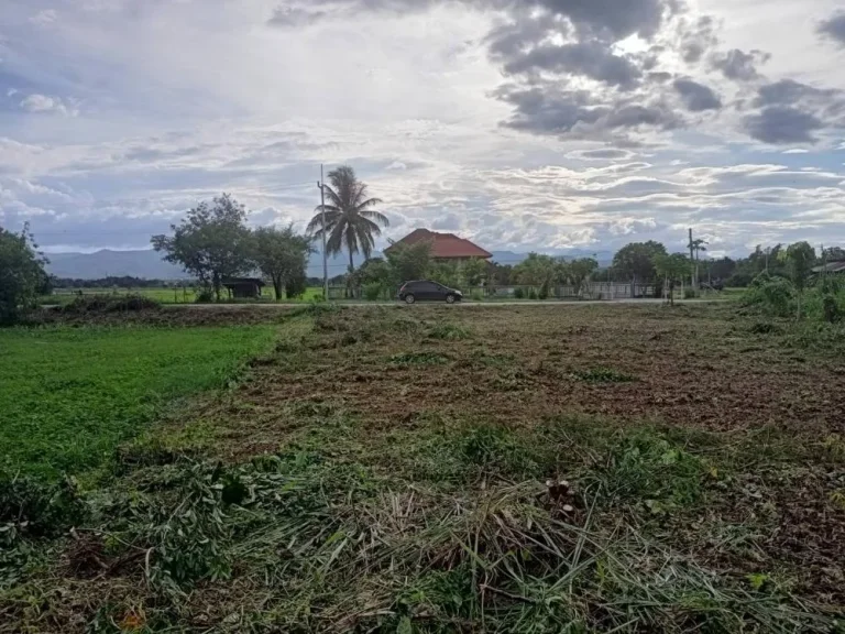 ที่ดินเปล่าติดริมทุ่ง ถนนเรียบคลองชลประทาน ค้าขายได้ ทำบ้านดี