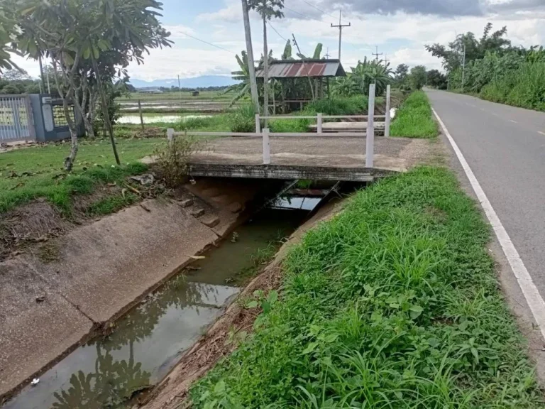 ที่ดินเปล่าติดริมทุ่ง ถนนเรียบคลองชลประทาน ค้าขายได้ ทำบ้านดี