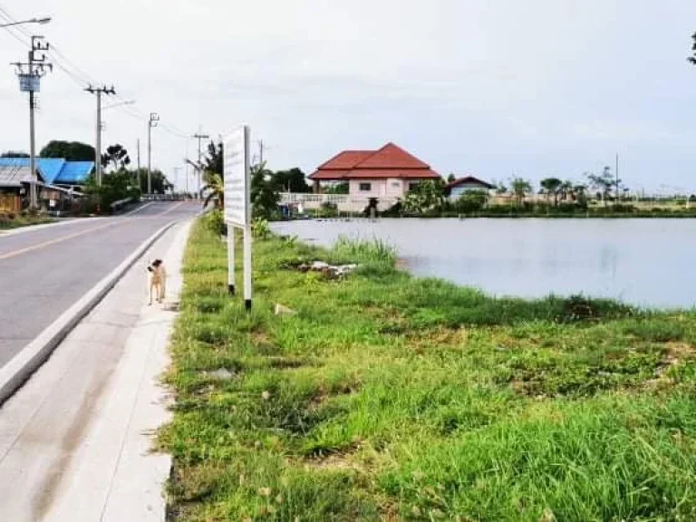 ขายที่ดินเนื้อที่ 7 ไร่ อำเภอบางพลี จังหวัดสมุทรปราการ