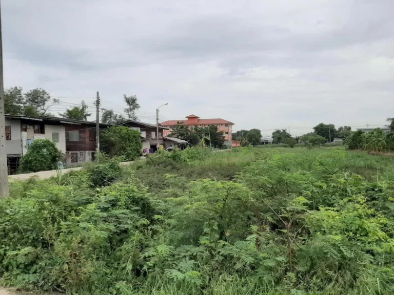 ขายที่ดินติดถนน ซอยวัดหลังบาง ตบางแม่นาง อบางใหญ่ จนนทบุรี