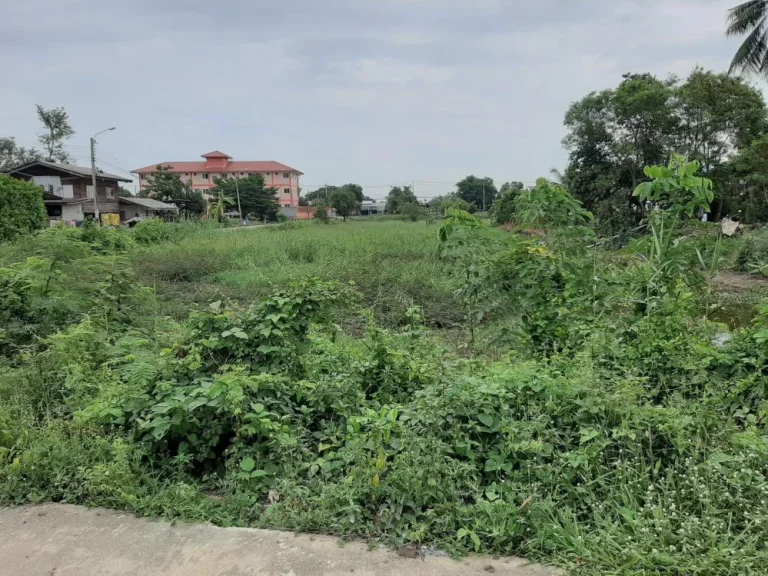 ขายที่ดินติดถนน ซอยวัดหลังบาง ตบางแม่นาง อบางใหญ่ จนนทบุรี