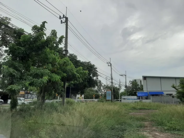 ขายที่ดินติดถนน ซอยวัดหลังบาง ตบางแม่นาง อบางใหญ่ จนนทบุรี