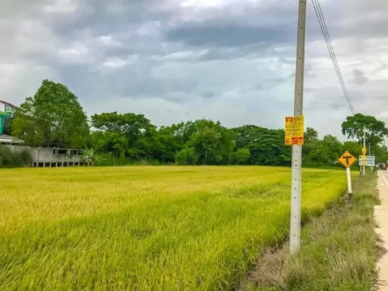 ขายที่ดิน 2 ไร่ แบ่งได้ ติดถนนคอนกรีต ตหนองเพรางาย อไทรน้อย จนนทบุรี