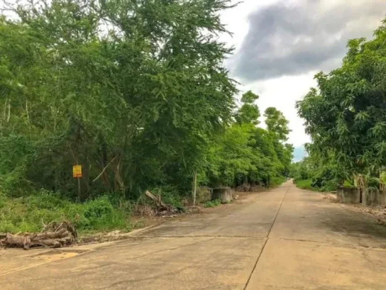 ขายที่ดิน 66 ตรว แปลงมุม ตลำผักกูด อธัญบุรี จปทุมธานี