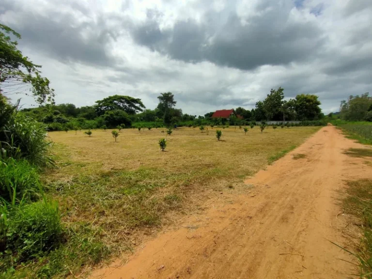 ขายที่ดิน 2 ไร่ สามารถต่อรองราคาได้ ที่ดินแปลงใหม่เพิ่งเข้าตลาดอสังหา