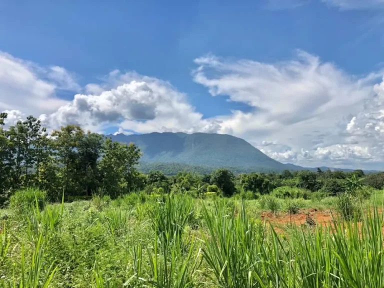 ขายที่ดินติดถนนหลัก วิวภูเขาดอยหลวง สวยมากและหายากใกล้ถ้ำเชียงดาว เชียงใหม่