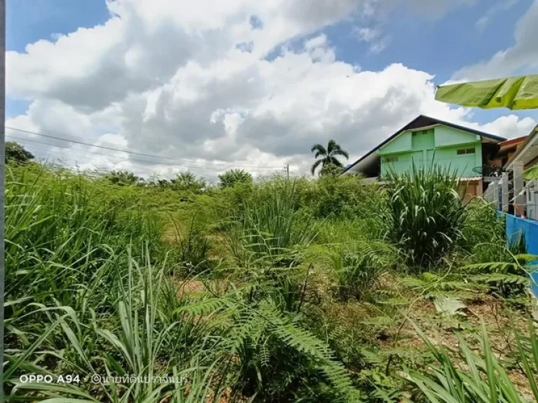 ขายที่ดินติดถนน79ตรว ตบ้านพระ อเมือง จปราจีนบุรี ติดรพสตอนามัยบ้านพระ