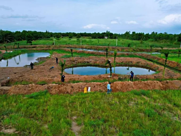 ที่ดินแบ่งแปลงคลอง 14 หนองเสือ จปทุมธานี เหมาะทำบ้านสวนเกษตร