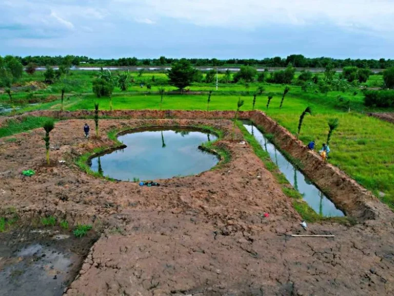 ที่ดินแบ่งแปลงคลอง 14 หนองเสือ จปทุมธานี เหมาะทำบ้านสวนเกษตร