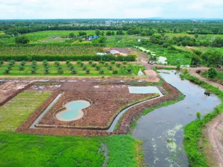 ที่ดินแบ่งแปลงคลอง 14 หนองเสือ จปทุมธานี เหมาะทำบ้านสวนเกษตร