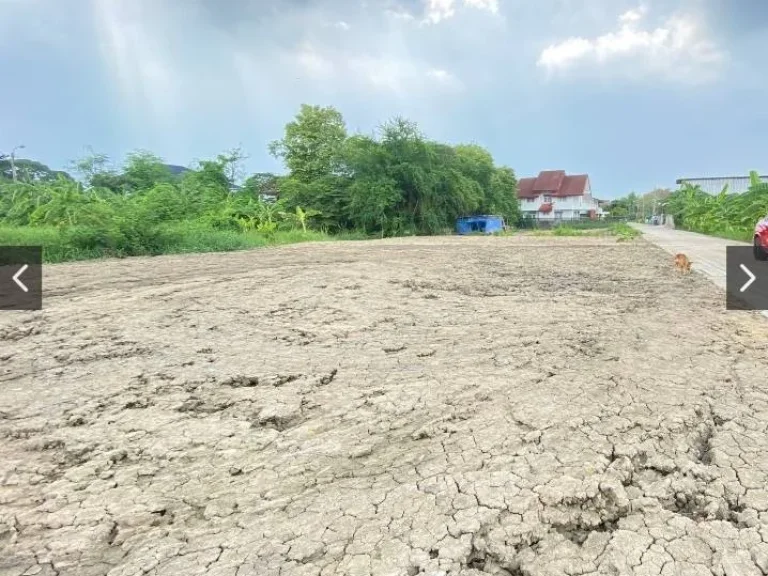 ขายถูก ที่ดิน ถมแล้ว แปลงใหญ่ กว่า200ตรว ซอยรามอินทรา71