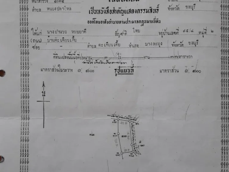 ขายที่ดิน 2 ไร่ ใกล้ Motorway พัทยา-ชลบุรี หนองปลาไหล บางละมุง จชลบุรี