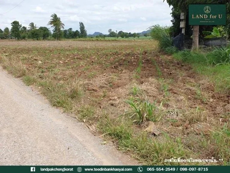 ขายที่ดินติดถนนราคาถูก ขายที่ดินปากช่องเขาใหญ่-บ้านคลองม่วง ใกล้TayamaFarmKhaoYai 35 กม