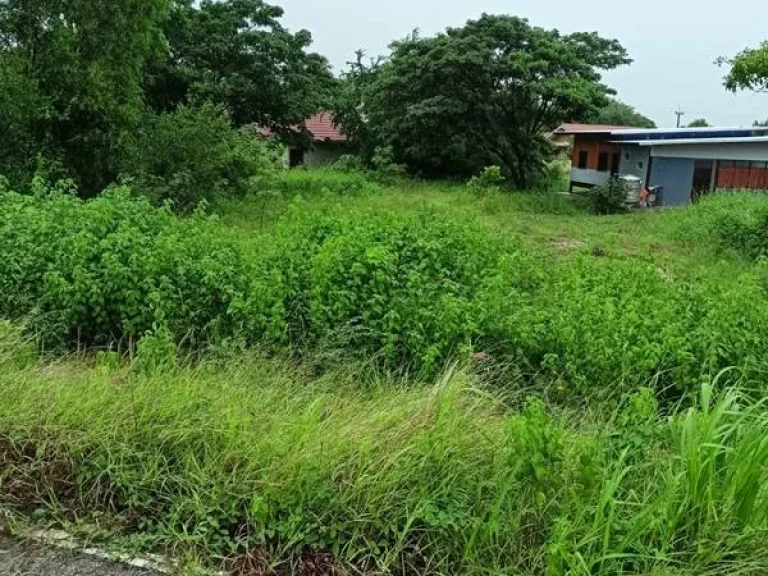 อ่างเก็บน้ำหนองสำโรง ที่ดิน 0-2-768 THB3500000 ตหมูม่น อเมือง จอุดรธานี