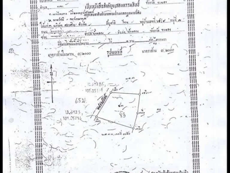 ขายที่ดิน ใกล้หาดบ้านพลา 37 ไร่ อำเภอบ้านฉาง ระยอง