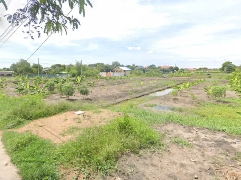 ขายที่ดิน ติดถนนเอกชัย-บางบอน 8 ไร่ ติดปั้มน้ำมัน PTT station