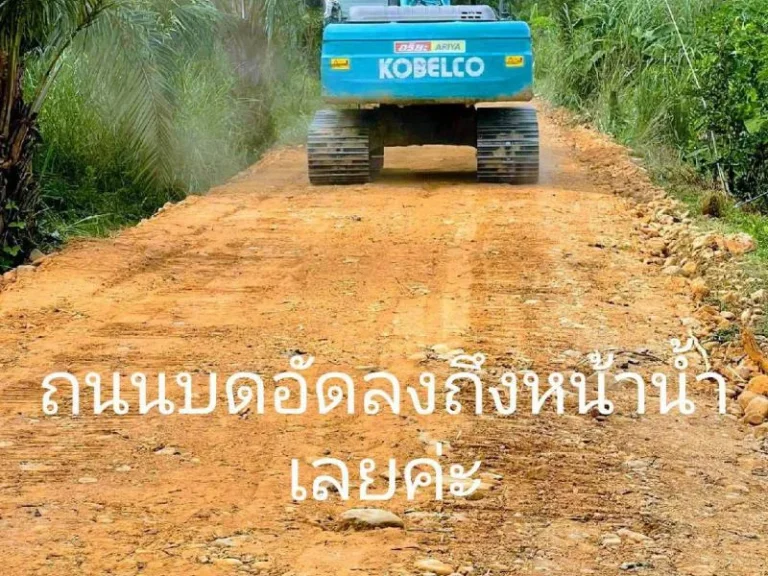 แปลงริมแม่น้ำเพชร4 ที่ดินติดริมแม่น้ำ ทำเลธรรมชาติที่ทุกคนใฝ่หา