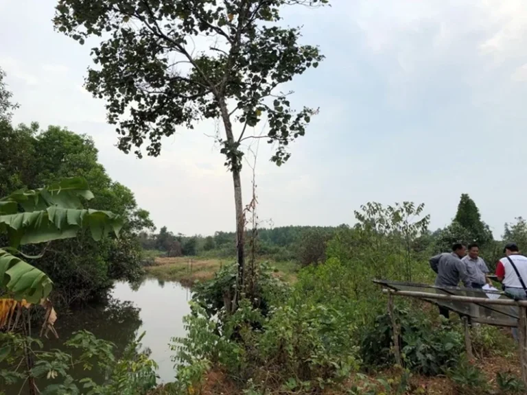 ขายที่ดินริมน้ำ แม่น้ำเวฬุ ใกล้ถนนใหญ่ เขาสมิง ตราด 1000 ไร่