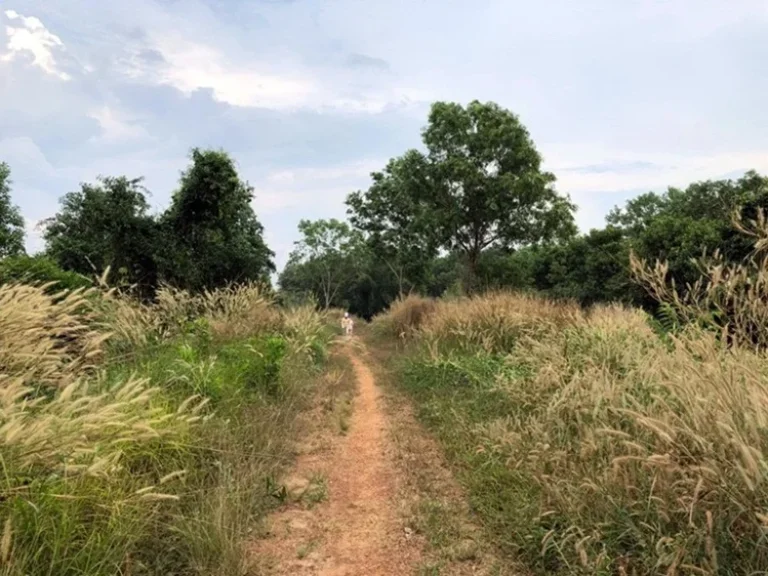 ขายที่ดินริมน้ำ แม่น้ำเวฬุ ใกล้ถนนใหญ่ เขาสมิง ตราด 1000 ไร่