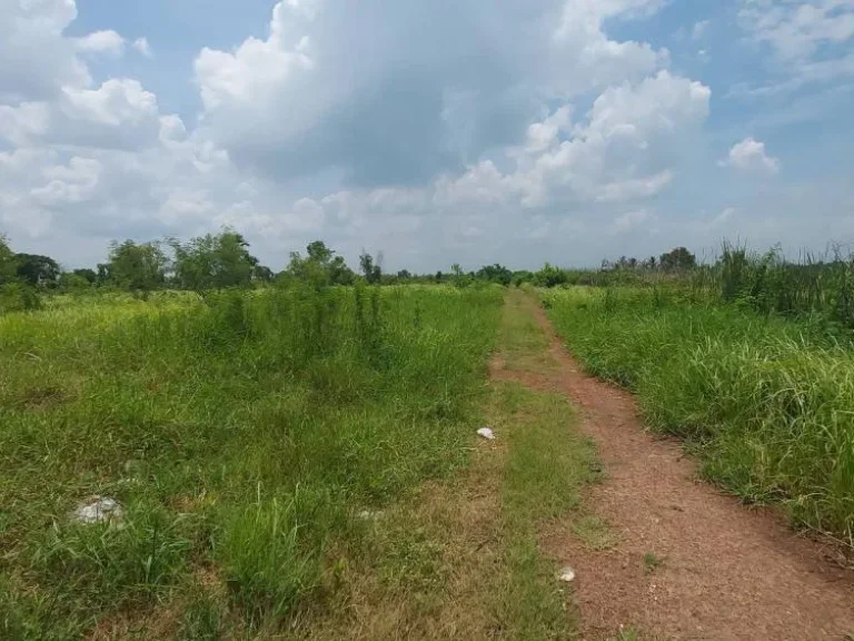 ขายที่ดิน ถนนสุวินทวงศ์ ซอยอยุ่วิทยาแยก11 เนื้อที่1ไร่200ตรว