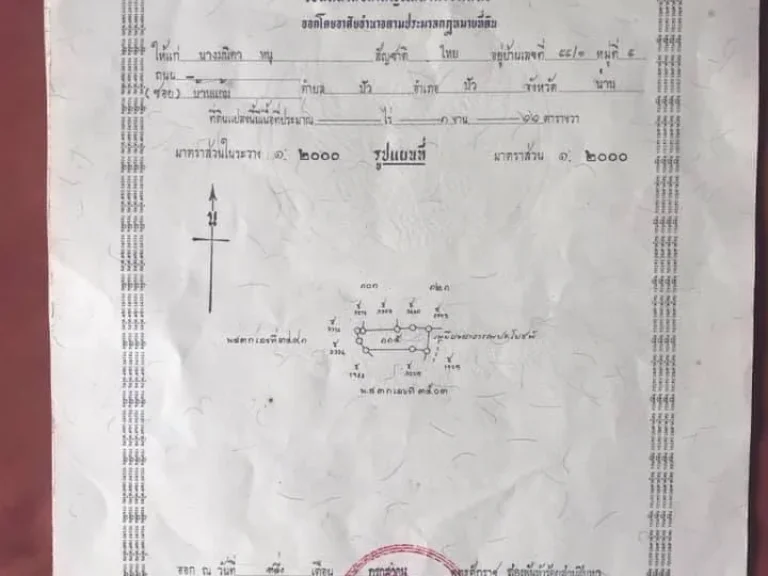 ขายที่ดิน 2แปลงติด วิวดอยภูคา ปัว น่าน ใกล้แหล่งท่องเที่ยวโฮมเตย์คาเฟ่