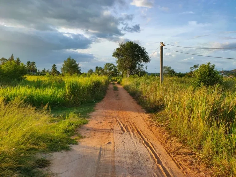 แบ่งขายที่ดิน 2 ไร่ วิวภูเขาบรรยากาศดี ธรรมชาติล้อมรอบ